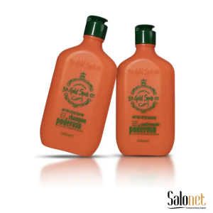 SHAMPOO E CONDICIONADOR PODEROSO – GOLD SPELL