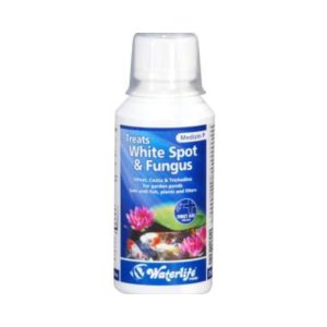WATERLIFE- MEDIZIN P 250ML