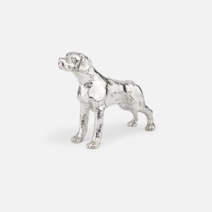 Cão de Caça Perdigueiro Português